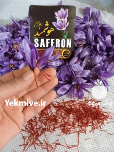 فروش دوره پرورش زعفران و پیاز زعفران در خوی در گروه دوره آموزش کشاورزی در یکمیوه -عکس2