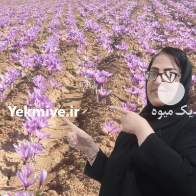 فروش دوره پرورش زعفران و پیاز زعفران در خوی در گروه دوره آموزش کشاورزی در یکمیوه -عکس3