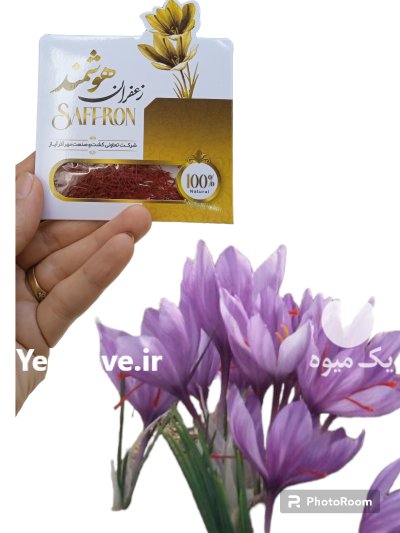 فروش دوره پرورش زعفران و پیاز زعفران در خوی در گروه دوره آموزش کشاورزی در یکمیوه -عکس4