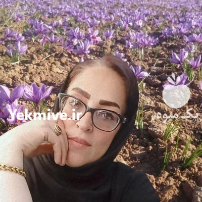 فروش زعفران هوشمند و پیاز زعفران در ارومیه در گروه خرید و فروش زعفران در یکمیوه -عکس2