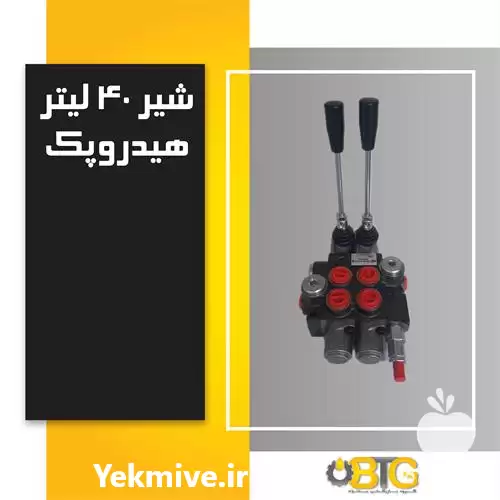 قیمت خرید شیر هیدرولیک دسته لیتر در مشهد در گروه خرید و فروش ردیف کار در یکمیوه -عکس1