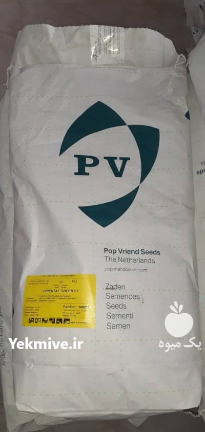 بذر اسفناج اورینتال گرین پوپ هلند در گروه خرید و فروش بذر سبزی در یکمیوه -عکس1