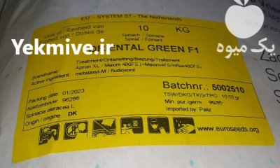 بذر اسفناج اورینتال گرین پوپ هلند در گروه خرید و فروش بذر سبزی در یکمیوه -عکس2