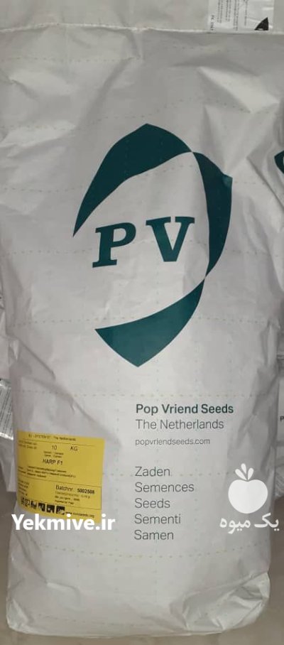 بذر اسفناج هیبرید هارپ پوپ هلند در کرج در گروه خرید و فروش بذر سبزی در یکمیوه -عکس1