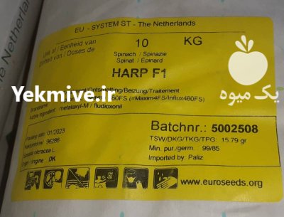 بذر اسفناج هیبرید هارپ پوپ هلند در کرج در گروه خرید و فروش بذر سبزی در یکمیوه -عکس2