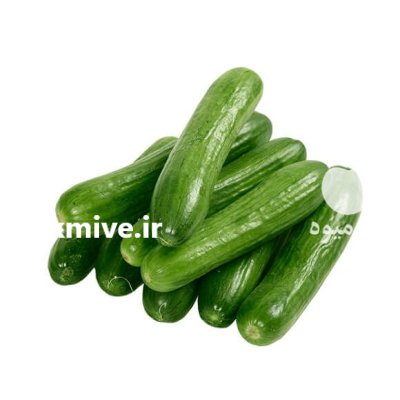 فروش خیار سبز تازه گنج تپه در بهار  در گروه خرید و فروش خیار در یکمیوه -عکس1