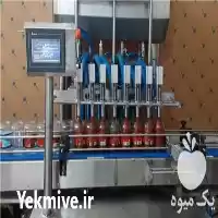 فروش خط تولید رب گوجه فرنگی در مشهد در گروه خرید و فروش خط تولید در یکمیوه