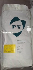 بذر اسفناج اورینتال گرین پوپ هلند در گروه خرید و فروش بذر سبزی در یکمیوه