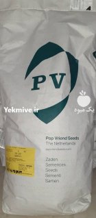بذر اسفناج هیبرید هارپ پوپ هلند در کرج در گروه خرید و فروش بذر سبزی در یکمیوه