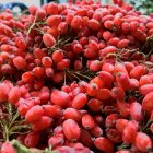 زرشک قاینات در مشهد در گروه خرید و فروش زرشک در یکمیوه