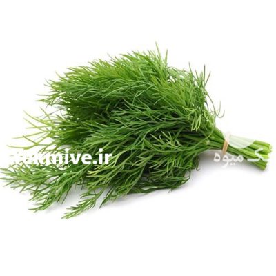 بذر شوید بذر شوید فله در گروه خرید و فروش بذر سبزی در یکمیوه -عکس1