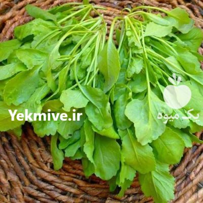 بذر شاهی بذر شاهی فله در کرج در گروه خرید و فروش بذر سبزی در یکمیوه -عکس1