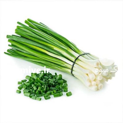 بذر پیازچه فله در گروه خرید و فروش بذر سبزی در یکمیوه -عکس1