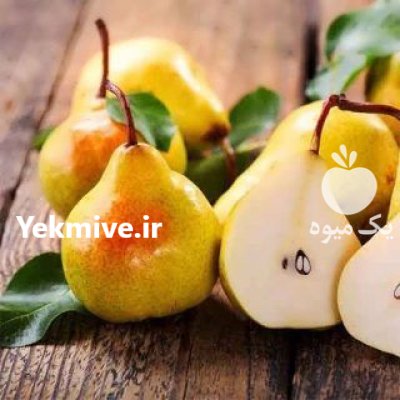 بذر میوه بذر گلابی در کرج در گروه خرید و فروش بذر میوه در یکمیوه -عکس1