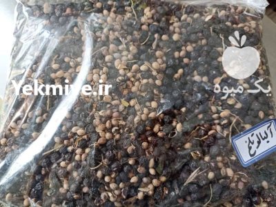بذر البالو تلخ در کرج در گروه خرید و فروش بذر میوه در یکمیوه -عکس1