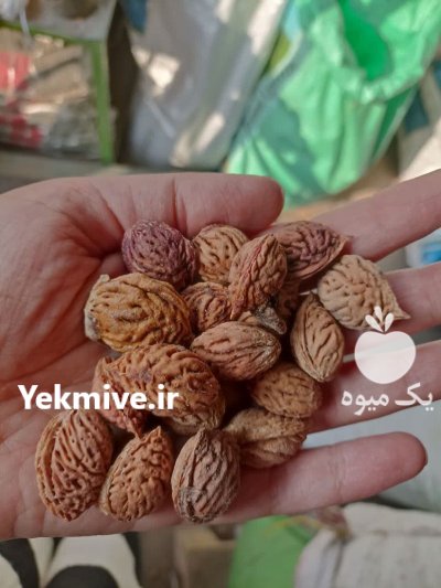 بذر میوه بذر درخت هلو در گروه خرید و فروش بذر میوه در یکمیوه -عکس1