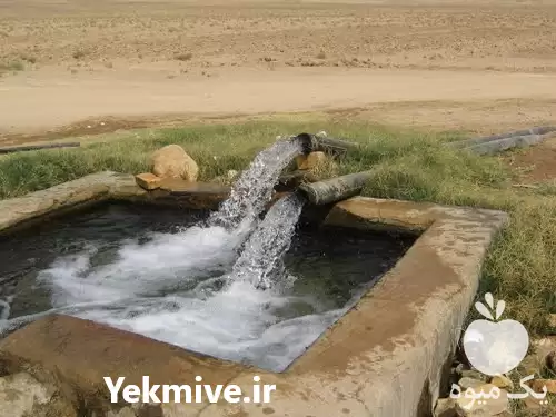 تعیین محل حفر چاه در گروه حفر چاه در یکمیوه -عکس1