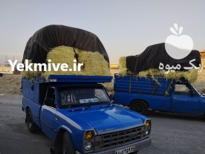 مرکز تولید پخش پوشال میوه کاغذ در اردبیل در گروه انواع بسته بندی محصول در یکمیوه -عکس1