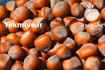 فروش فندق در ساری در گروه خرید و فروش فندق در یکمیوه -عکس2