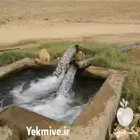 تعیین محل حفر چاه در گروه حفر چاه در یکمیوه