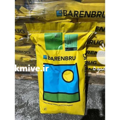 بذر چمن برموداگراس بارنبروگ در گروه خرید و فروش بذر چمن در یکمیوه -عکس1