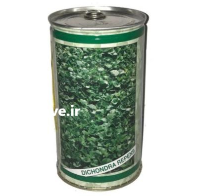 بذر شبدر زینتی دایکوندرا ایتالیا در گروه خرید و فروش بذر چمن در یکمیوه -عکس2