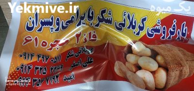 خرید فروش سیب زمینی خوراکی و بذری در اردبیل در گروه خرید و فروش سیب زمینی در یکمیوه -عکس2