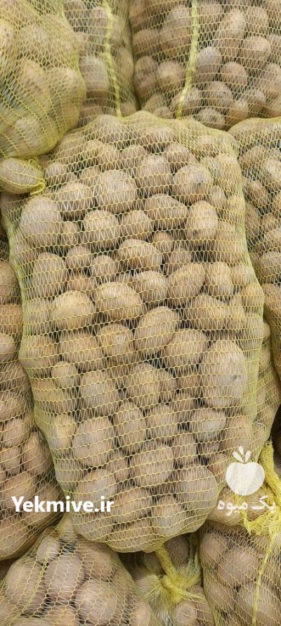 خرید فروش سیب زمینی خوراکی و بذری در اردبیل در گروه خرید و فروش سیب زمینی در یکمیوه -عکس4