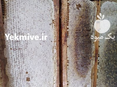 فروش عسل ارگانیک در رشت در املش در گروه عسل شیره و فرآورده ی مربا در یکمیوه -عکس2