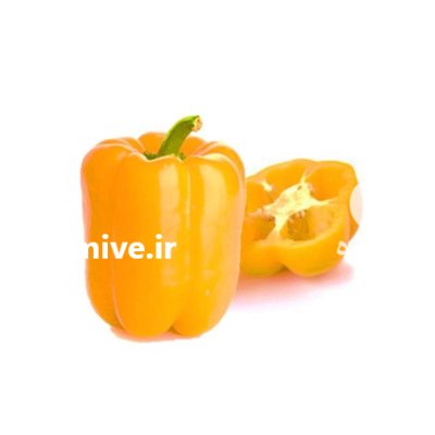 قیمت خرید بذر فلفل دلمه زرد در اصفهان در گروه خرید و فروش بذر فلفل در یکمیوه -عکس2