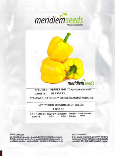 بذر فلفل دلمه زرد HZ 9920 اسپانیا در گروه خرید و فروش بذر فلفل در یکمیوه -عکس1