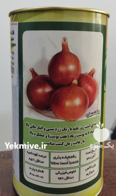 بذر پیاز زرد روز بلند فلات در کرج در گروه خرید و فروش بذر پیاز در یکمیوه -عکس1