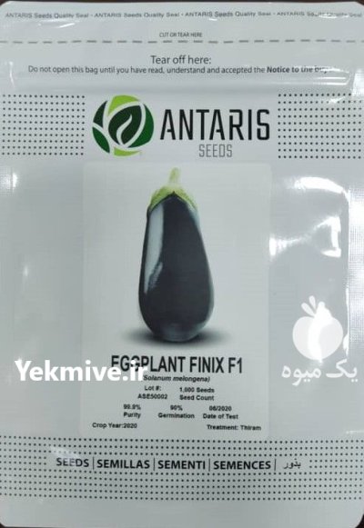 بذر بادمجان فینیکس انتاریس در کرج در گروه خرید و فروش بذر بادمجان در یکمیوه -عکس1