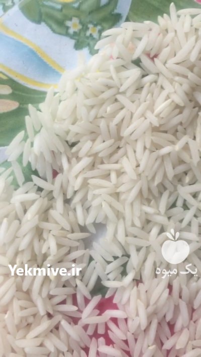 فروش برنج هاشمی اصل گیلان حسن در تهران در گروه خرید و فروش برنج در یکمیوه -عکس2