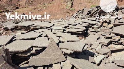 معدن سنگ لاشه دماوند فروش لاشه در تهران در گروه سازنده در یکمیوه -عکس3