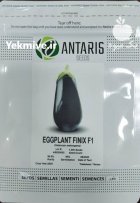 بذر بادمجان فینیکس انتاریس در کرج در گروه خرید و فروش بذر بادمجان در یکمیوه