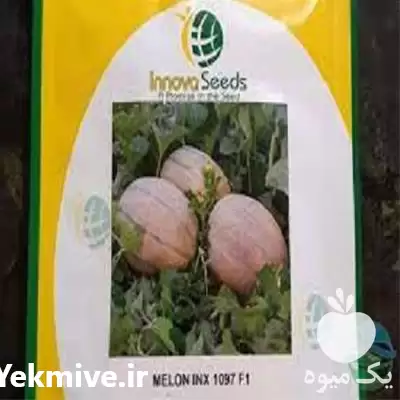 فروش بذر ملون دلتا در گروه خرید و فروش بذر ملون در یکمیوه -عکس1