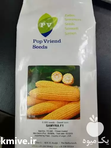 فروش بذر ذرت هیبرید سمیرا در گروه خرید و فروش بذر ذرت در یکمیوه -عکس1
