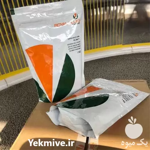 قیمت خرید بذر ذرت شیرین رویال در گروه خرید و فروش بذر ذرت در یکمیوه -عکس1