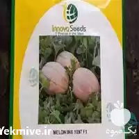 فروش بذر ملون دلتا در گروه خرید و فروش بذر ملون در یکمیوه