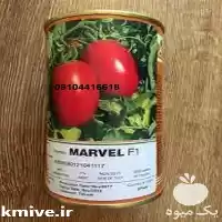 قیمت خرید بذر گوجه فرنگی هیبرید در شیراز در گروه خرید و فروش بذر گوجه در یکمیوه