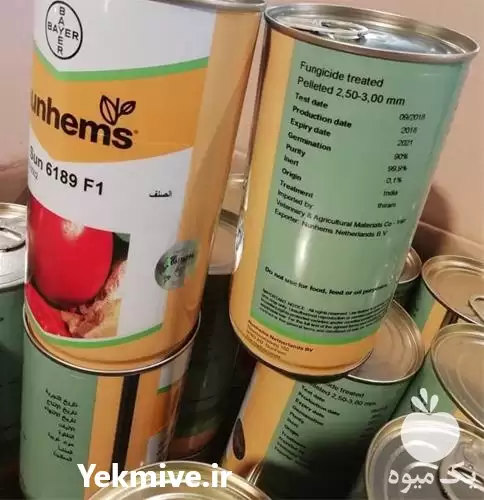 فروش استثنائی بذر گوجه فرنگی سانسید در کرمان  در گروه خرید و فروش بذر گوجه در یکمیوه -عکس1