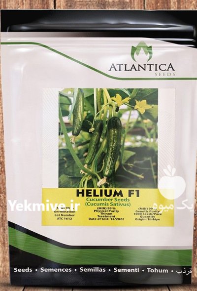 بذر خیار هیبرید هلیوم گلخانه ای در کرج در گروه خرید و فروش بذر خیار در یکمیوه -عکس1