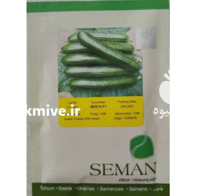 بذر خیار بستا سمان ترکیه در کرج در گروه خرید و فروش بذر خیار در یکمیوه -عکس1