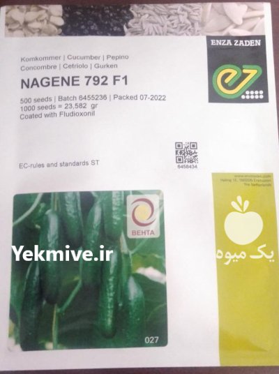 بذر خیار گلخانه ای ناگین انزازادن در کرج در گروه خرید و فروش بذر خیار در یکمیوه -عکس1
