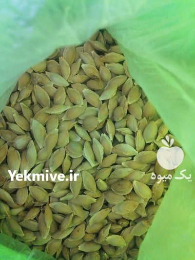 فروش هسته زردالو در گروه خرید و فروش آلو در یکمیوه -عکس1