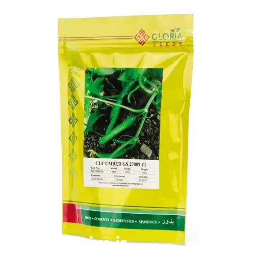 فروش بذر خیار گلوریا در اهواز در گروه خرید و فروش بذر خیار در یکمیوه -عکس1