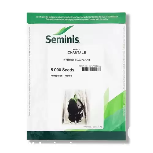 قیمت خرید بذر بادمجان دلمه شانتال در گروه خرید و فروش بذر بادمجان در یکمیوه -عکس1