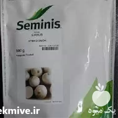 قیمت خرید بذر پیاز سایروس در مشهد در گروه خرید و فروش بذر پیاز در یکمیوه -عکس1