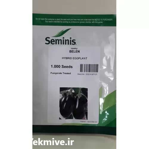 قیمت خرید بادمجان لامپی بلن در سنندج در گروه خرید و فروش بادمجان در یکمیوه -عکس1